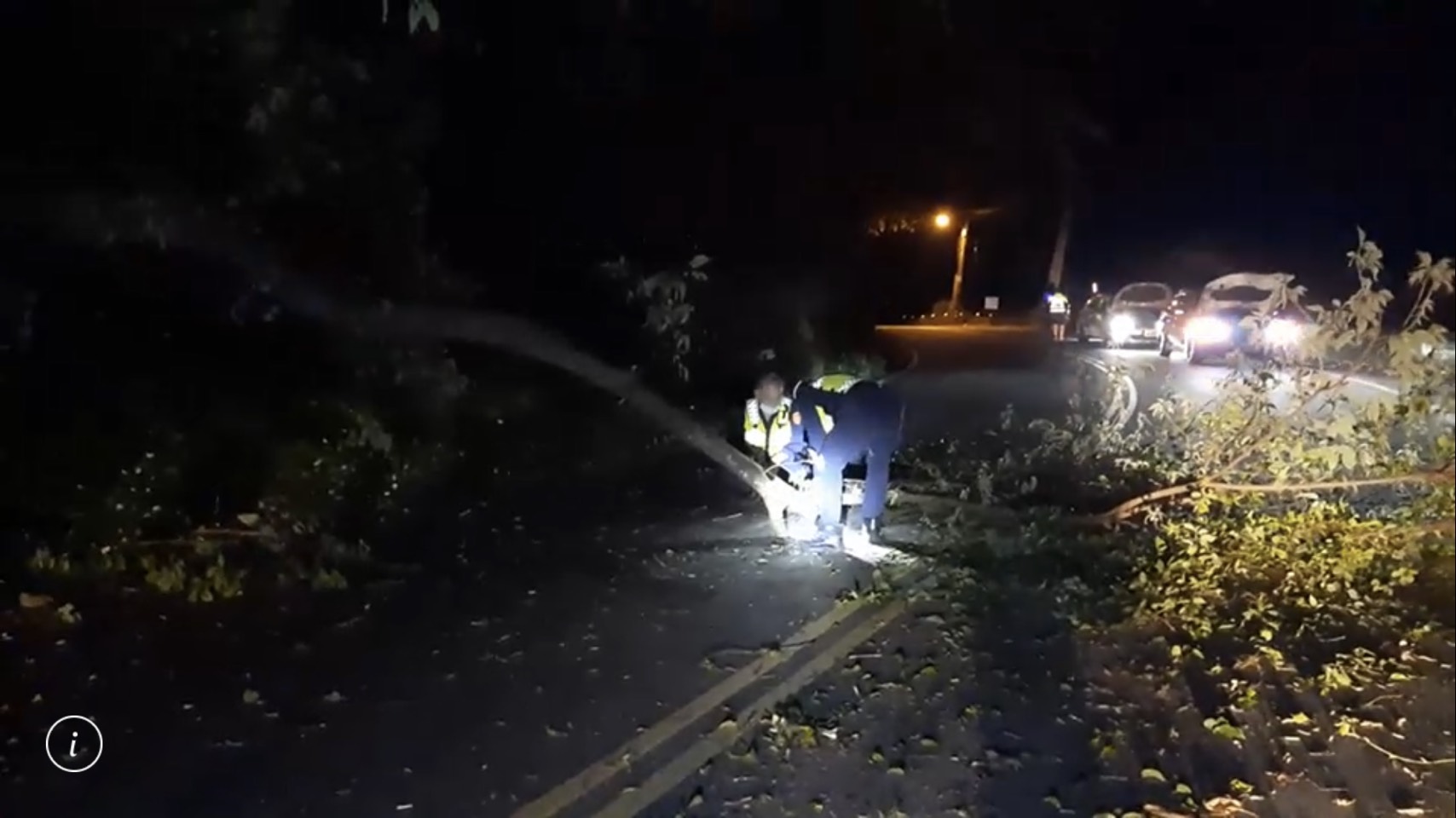 深夜路樹傾倒橫跨路中擋車 員警合力鋸樹排除  