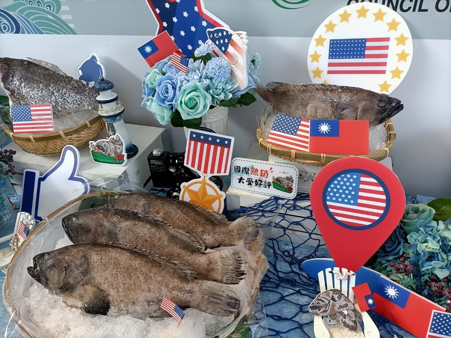 國產優質石斑魚外銷美國　拓展多元行銷與穩定漁民收益